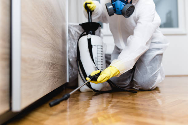 Best Wasp Removal Services  in Cannon Falls, MN