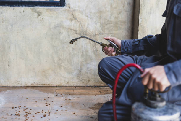 Best Local Pest Control Services  in Cannon Falls, MN
