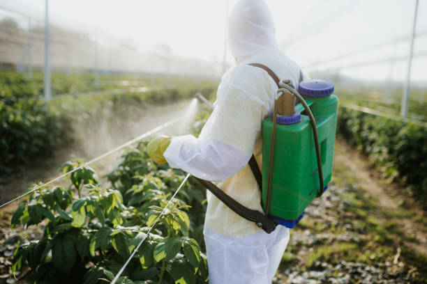 Best Commercial Pest Control Services  in Cannon Falls, MN